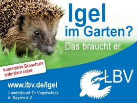Veranstaltungen des Landesbund für Vogelschutz in Bayern e.V.